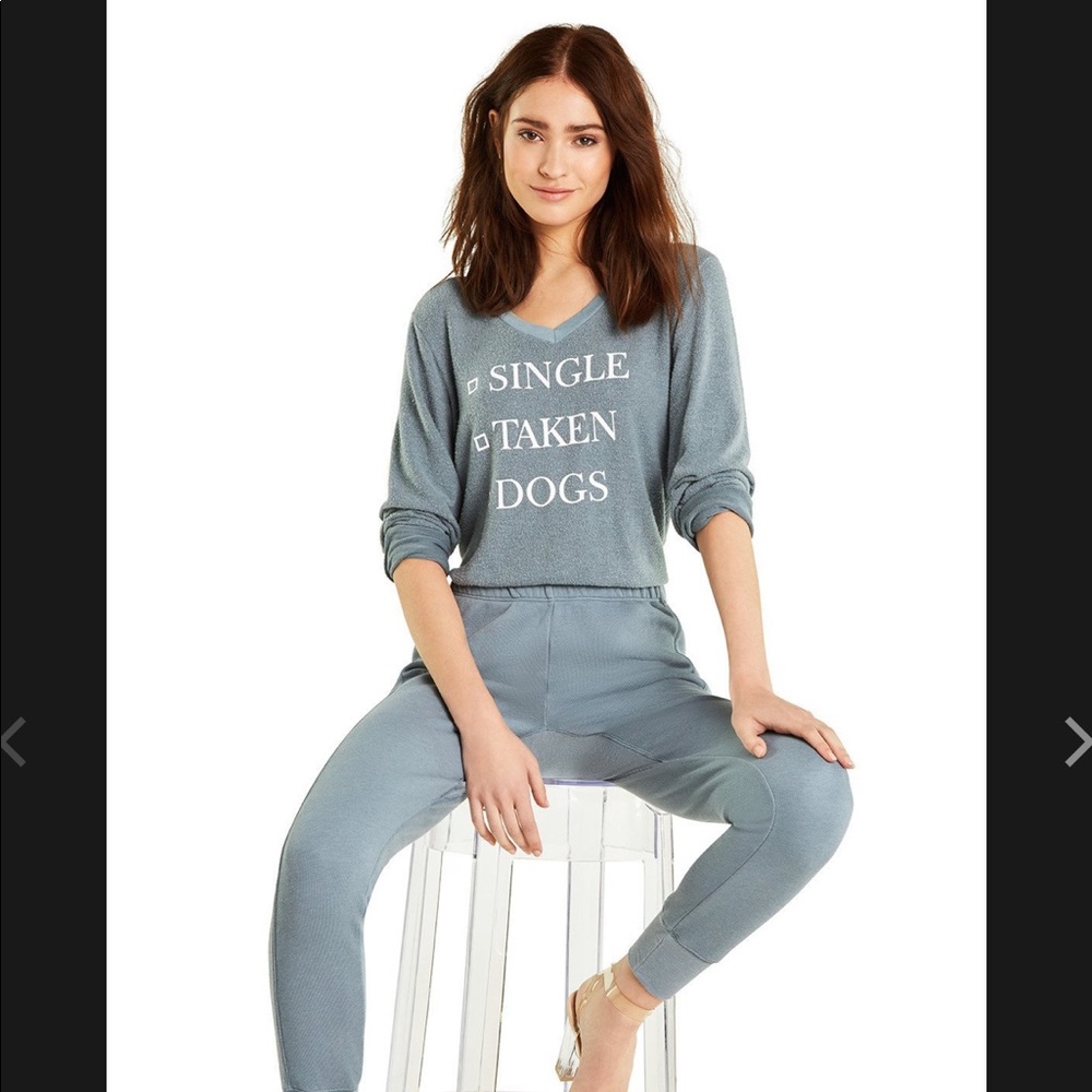 WildFox Dogs Baggy Beach V Neck Pullover